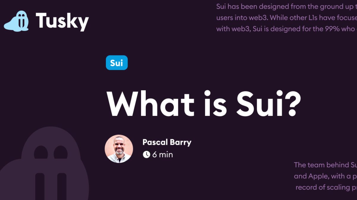 What is Sui? | Tusky
