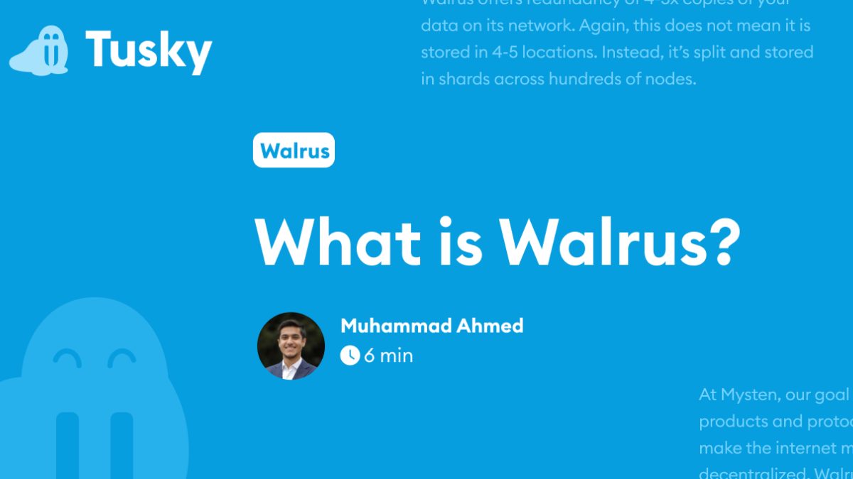 What is Walrus? | Tusky