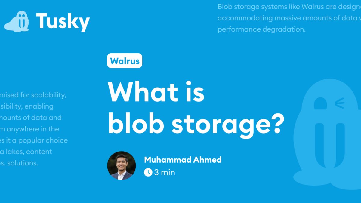 What is blob storage? | Tusky