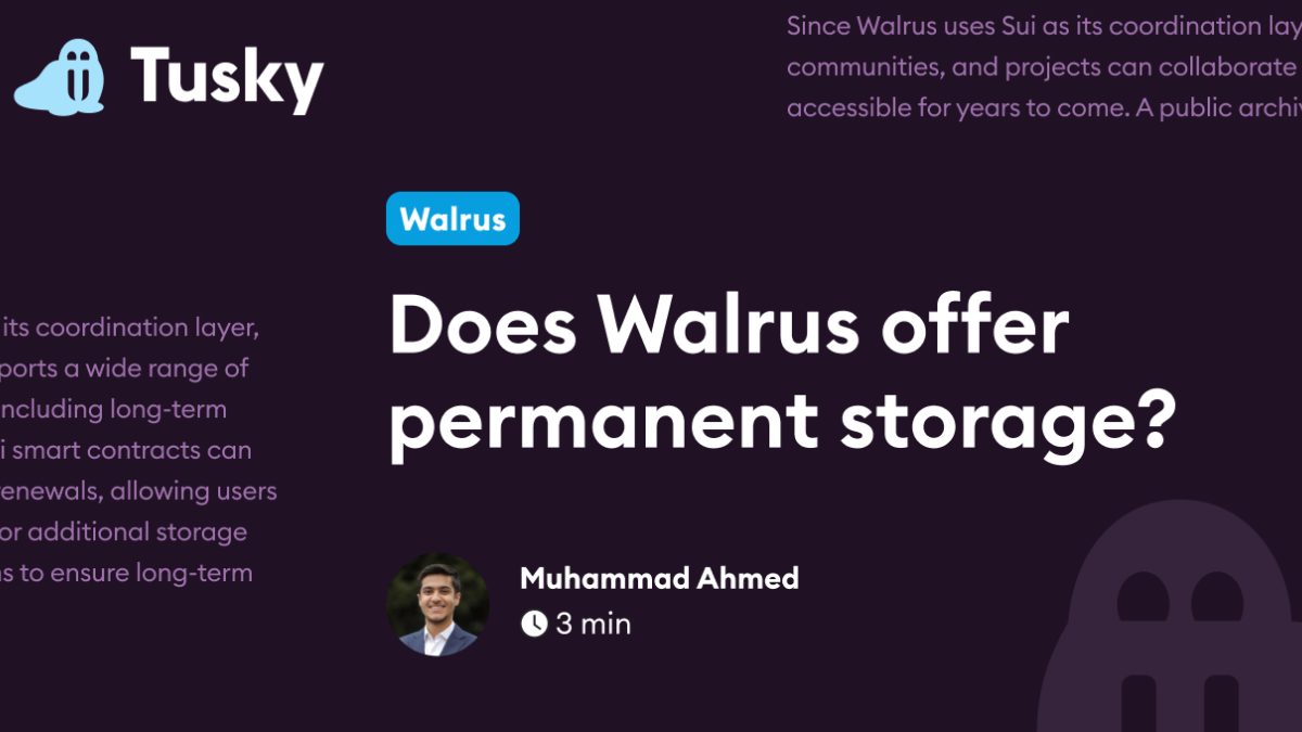 Does Walrus offer permanent storage? | Tusky