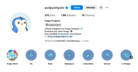 Pudgy Insta